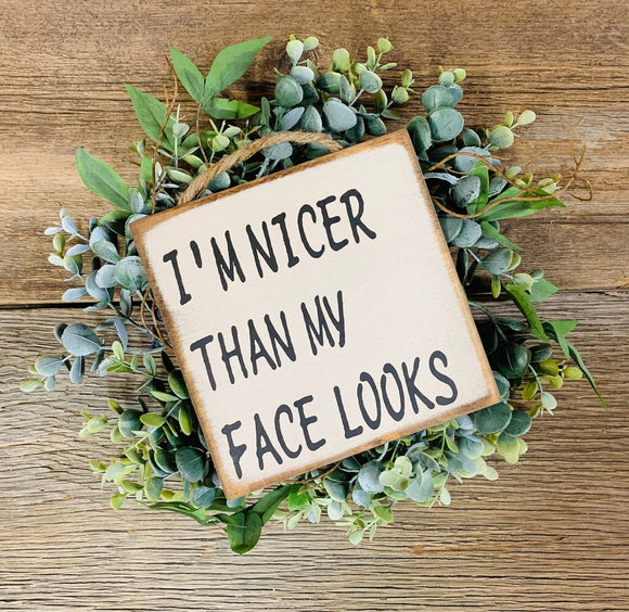 I'm Nicer Than My Face Looks Sign