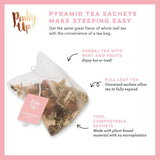 Strawberry Mint Tea Sachet