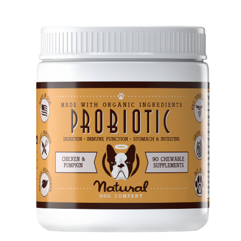 Dogs - Health: Probiotic Supplements