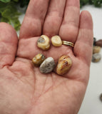 Crazy Lace Agate Tumbled Gemstones 10-20mm (0.5kg/1.1 lbs.) : 1KG/2.2LBS