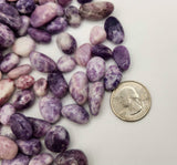 Lepidolite Tumbled Gemstones 10-20mm (0.5kg/1.1 lbs.)   : 1KG/2.2LBS
