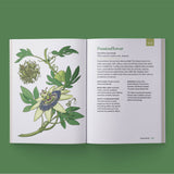 The Little Encyclopedia Of Herbal Medicine