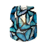 Modgy Blue Morpho Butterfly