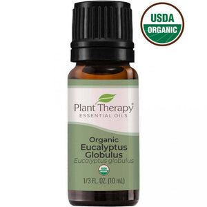 Eucalyptus Globulus Organic Essential Oil