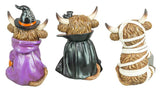 Costumed Halloween Highland Cow