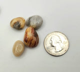 Crazy Lace Agate Tumbled Gemstones 10-20mm (0.5kg/1.1 lbs.) : 1KG/2.2LBS