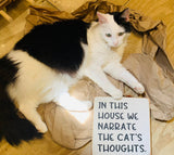 In This House We Narrate The Cats Thoughts, Funny Cat Sign