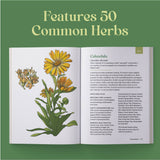 The Little Encyclopedia Of Herbal Medicine