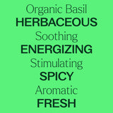 Organic Basil Linalool Essential Oil 10 mL