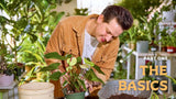 For the Love of Houseplants by Tanner Mitchell: Hardcover; 256 pages / English
