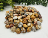 Crazy Lace Agate Tumbled Gemstones 10-20mm (0.5kg/1.1 lbs.) : 1KG/2.2LBS