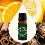 Holiday Season Essential Oil Blend 10 mL