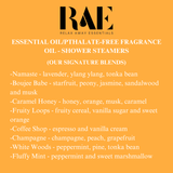 Single Shower Steamer - Aromatherapy : North pole