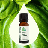 Organic Basil Linalool Essential Oil 10 mL