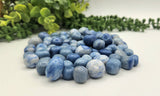 Blue Aventurine Tumbled Gemstones -10-20mm (0.5kg/1.1lbs) : 1KG/2.2LBS