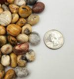 Crazy Lace Agate Tumbled Gemstones 10-20mm (0.5kg/1.1 lbs.) : 1KG/2.2LBS