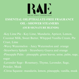 Single Shower Steamer - Aromatherapy : Flawless fresh