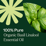 Organic Basil Linalool Essential Oil 10 mL