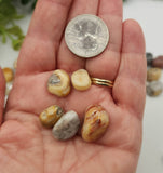 Crazy Lace Agate Tumbled Gemstones 10-20mm (0.5kg/1.1 lbs.) : 1KG/2.2LBS