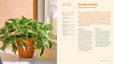 For the Love of Houseplants by Tanner Mitchell: Hardcover; 256 pages / English