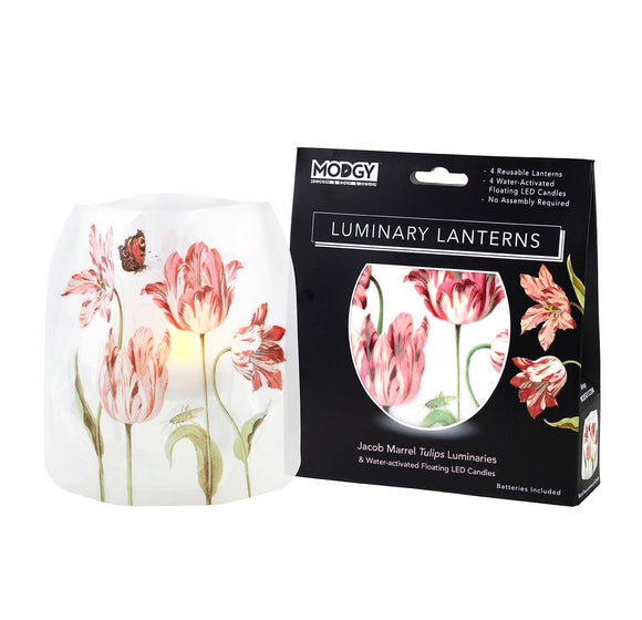 Luminary Lantern - Jacob Marrell Tulips