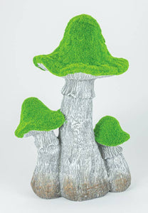 Mossy Top Mushrooms